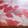 "Glow Into Fall" Target September 2019 Beauty Box Review